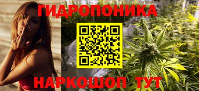 дмт Кандалакша