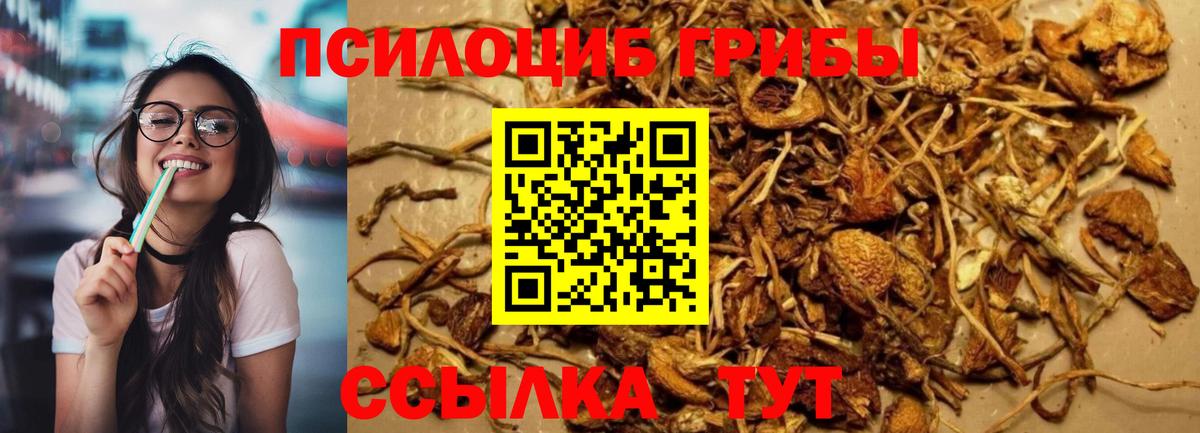 Псилоцибиновые грибы Cubensis Трёхгорный