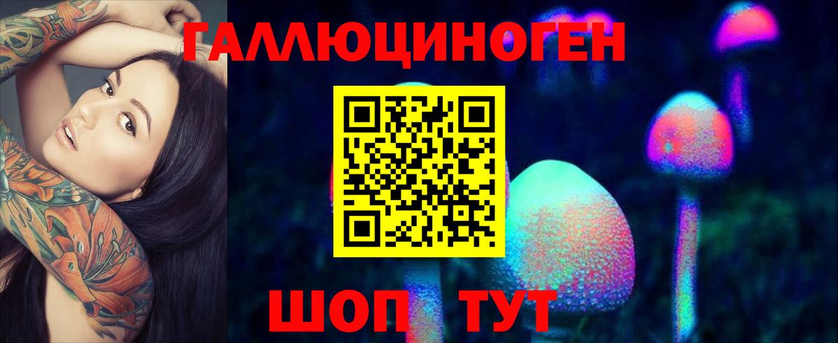 где продают   Вход с VPN  Трёхгорный  Псилоцибиновые грибы Psilocybe  Псилоцибиновые грибы мухоморы 